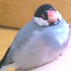 2007年9月